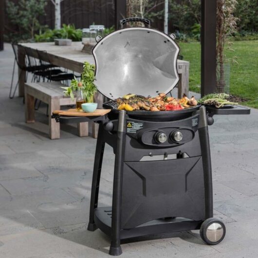 ODYSSEY 2T BBQ - Image 6