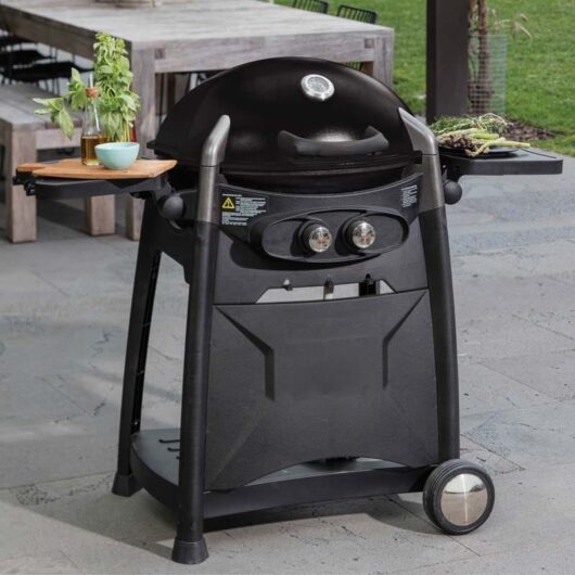 ODYSSEY 2T BBQ - Image 7